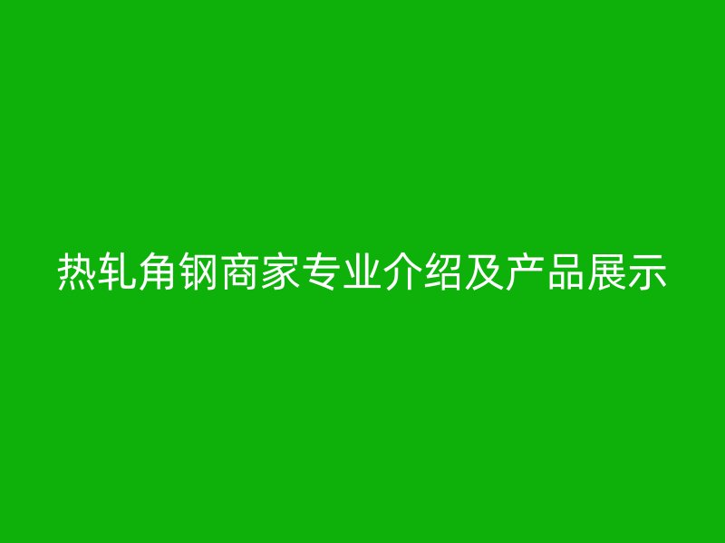 熱軋角鋼商家專(zhuān)業(yè)介紹及產(chǎn)品展示